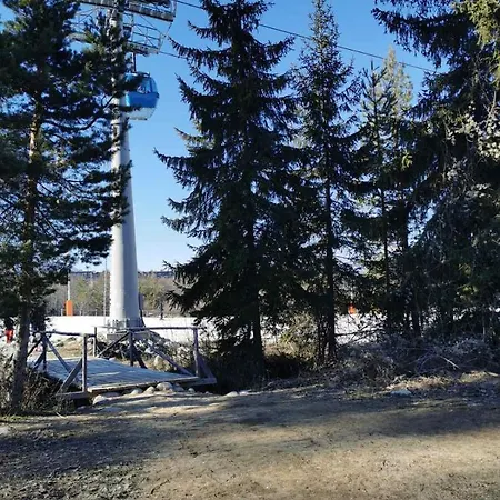 Cedar 42 Apartamento *