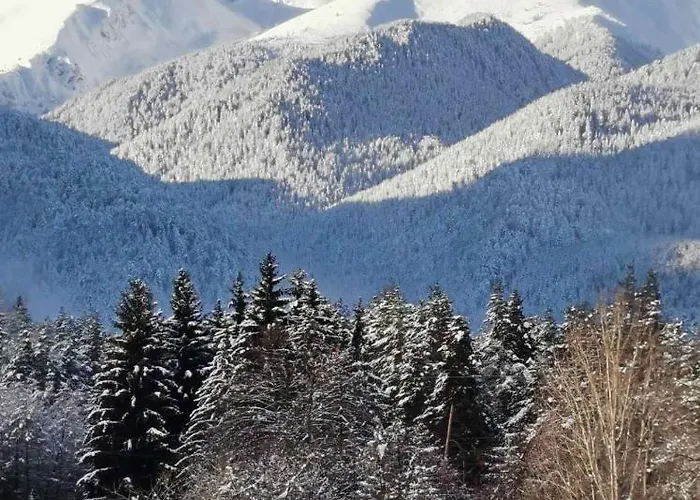 Cedar 42 * Банско