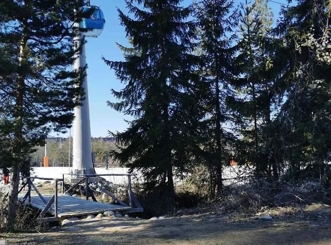 Cedar 42 Апартамент *